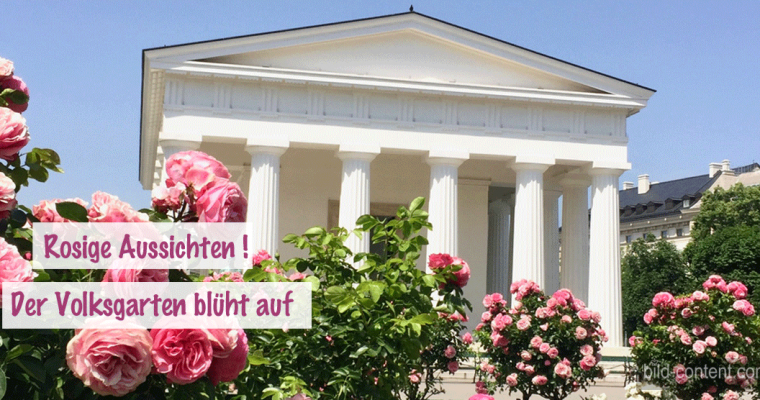 Rosenduft & Blütenzauber im Volksgarten Wien