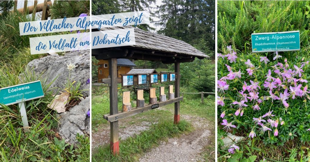 Villacher Alpengarten am Dobratsch