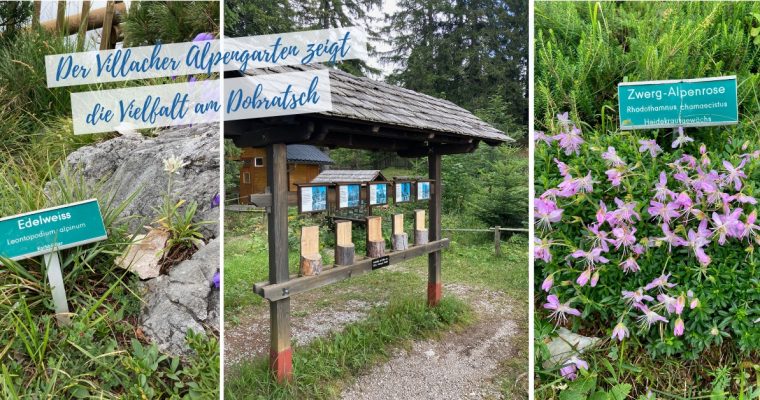 Ausflüge Kärnten: Villacher Alpengarten