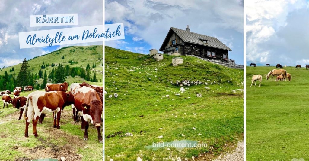 Kühe auf der Alm am Dobratsch in Kärnten