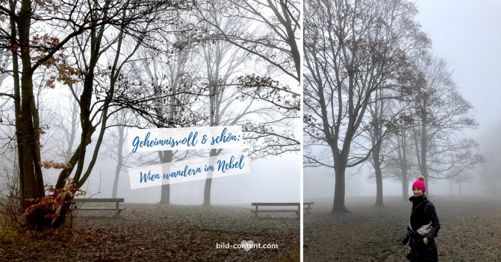 Kreuzeichenwiese im Nebel. Dezember 2020.