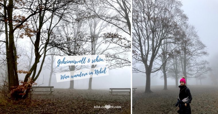 Mystische Nebelwanderung im Wienerwald