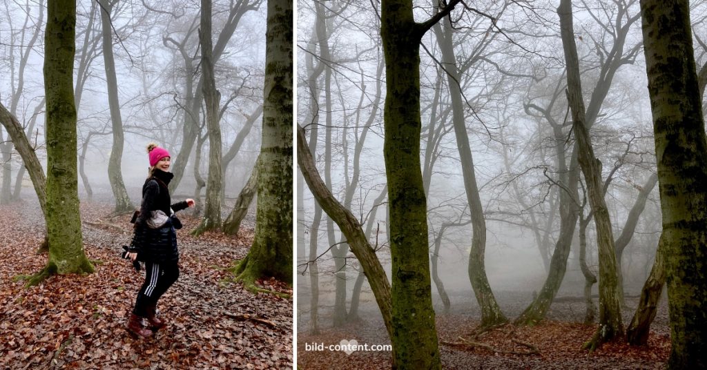 ©Astrid Eishofer Wandern in Wien Ottakring, Nebelstimmung im Wald