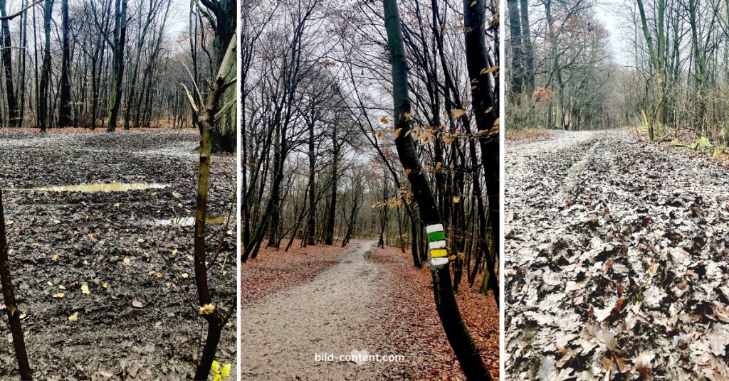 Wandern bei Schlechtwetter in Wien