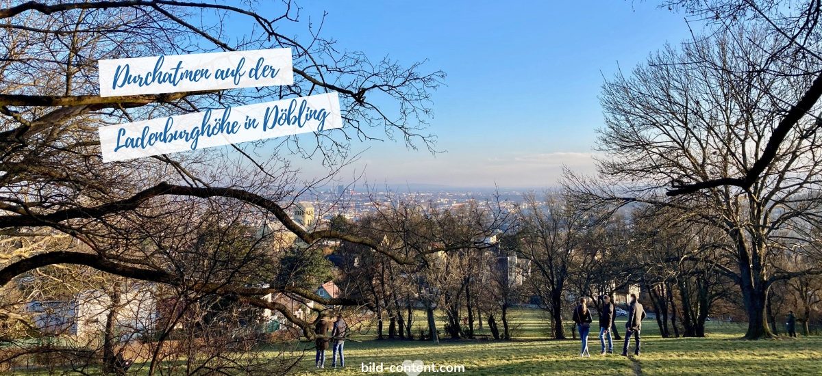 Blick von Ladenburghöhe auf Wien