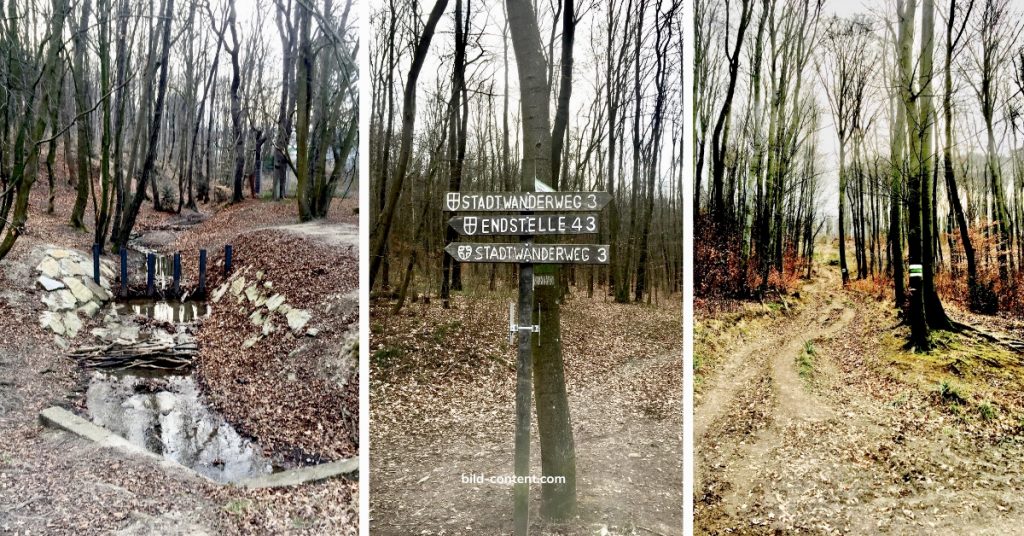 Wander Route von der Schwarzenbergallee auf den Heuberg Gipfel