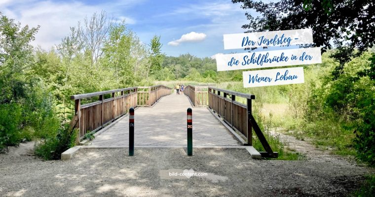 Spaziergang Donau Auen – Obere Lobau, Dechantlacke und Josefsteg