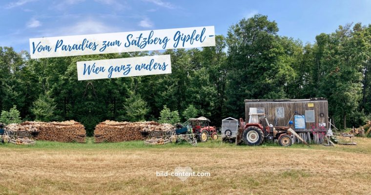 Wien wandern: Bahnhof Hüttelberg – Paradies Gründe – Satzberg