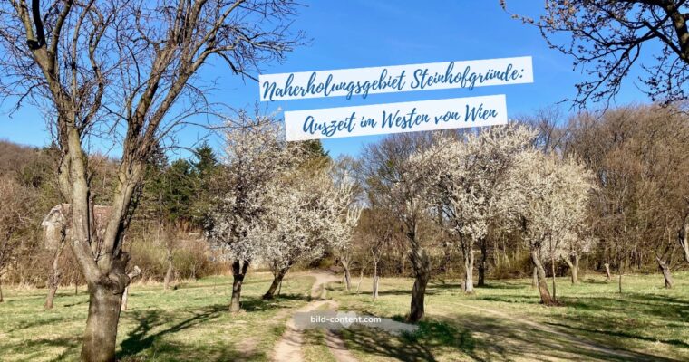 Steinhofgründe – wandern, walking, relaxen