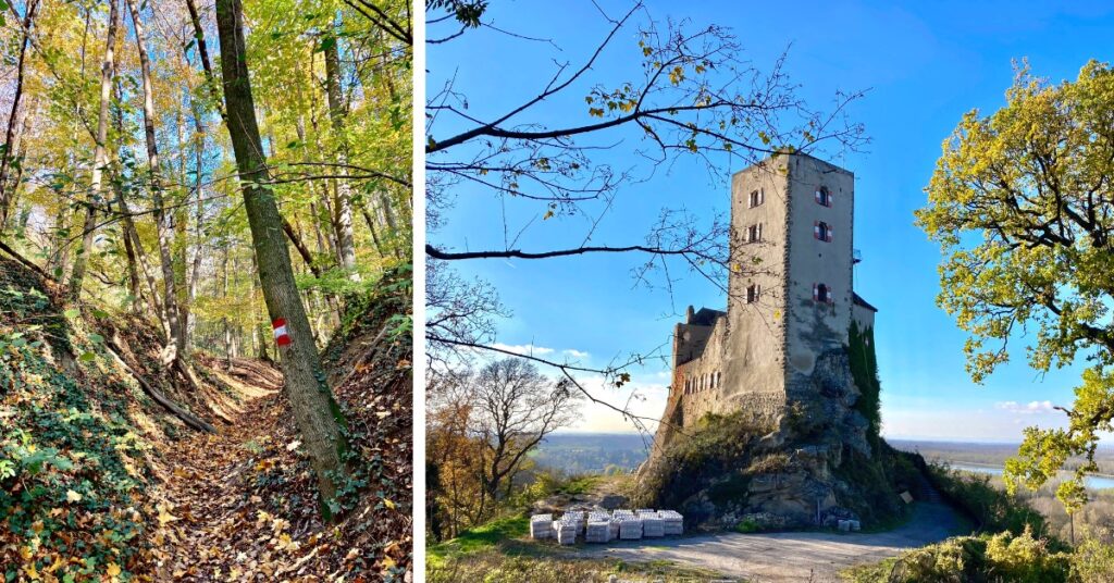 Links :Wanderweg zur Burg Greifenstein. Rechts: Fotospot. Fotocredit ©Astrid Eishofer