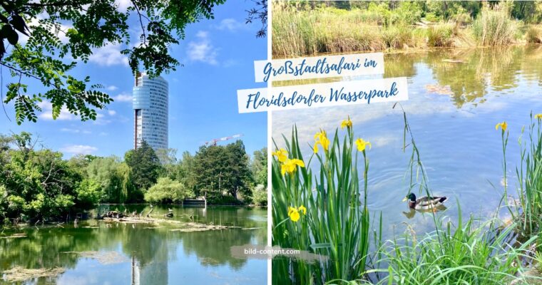 Ausflug zum Wasserpark Floridsdorf