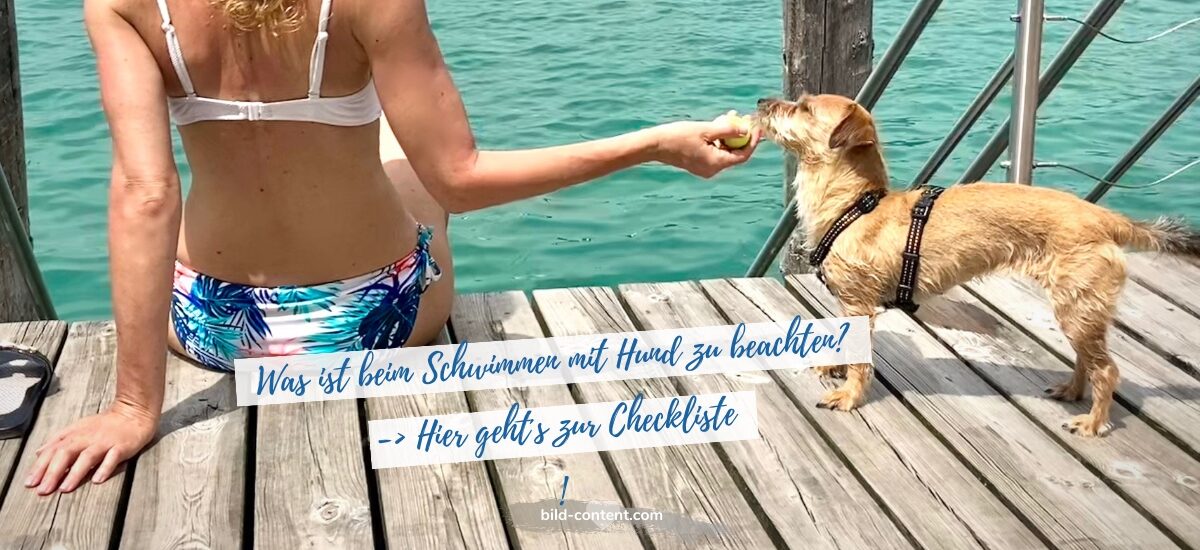 Tipps fürs Schwimmern mit Hund