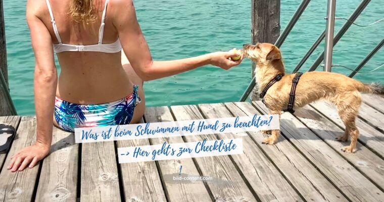 Checkliste: SCHWIMMEN mit Hund – das muss in die Badetasche