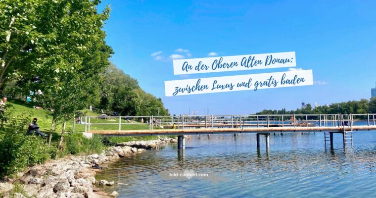 Gratis schwimmen an der Oberen Alten Donau