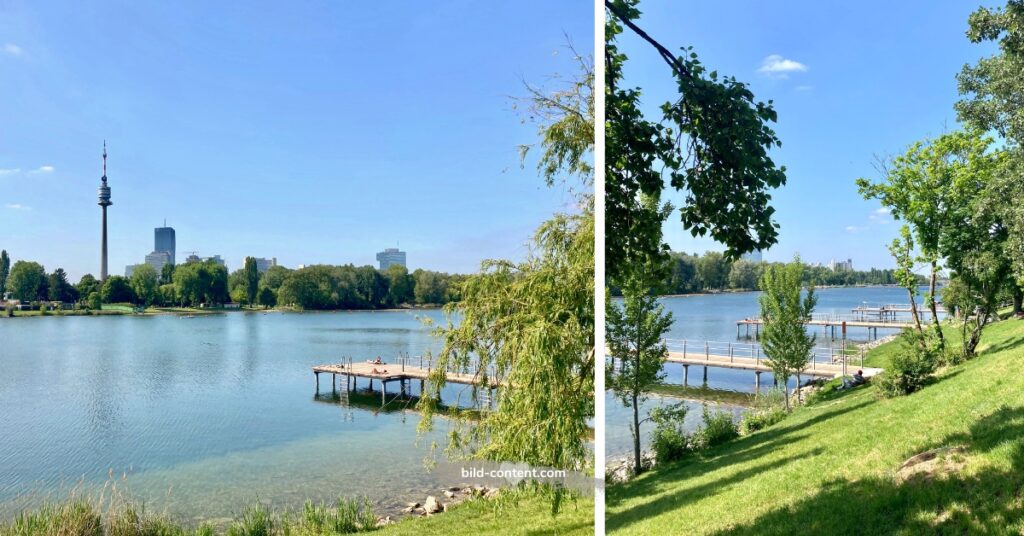 Gratis schwimmen an der Alten Donau