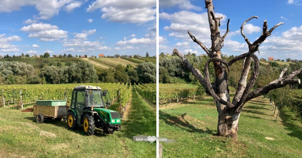 Südburgenland © astrid eishofer