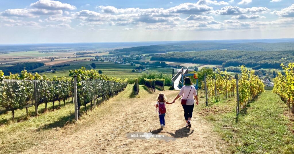 Südburgenland Aussichtsplattform Weinidylle